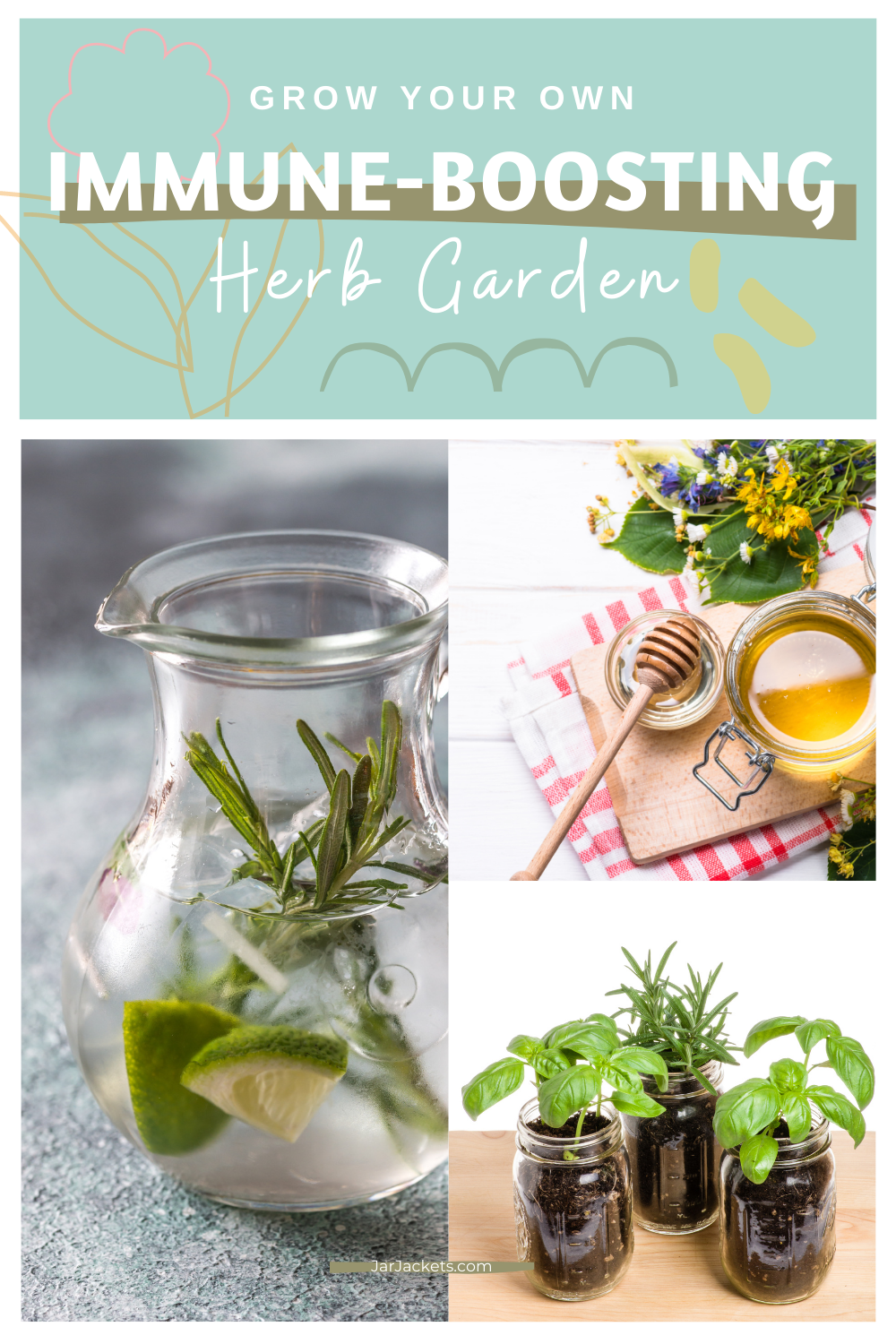 Grow Your Own Immune-Boosting Herb Garden