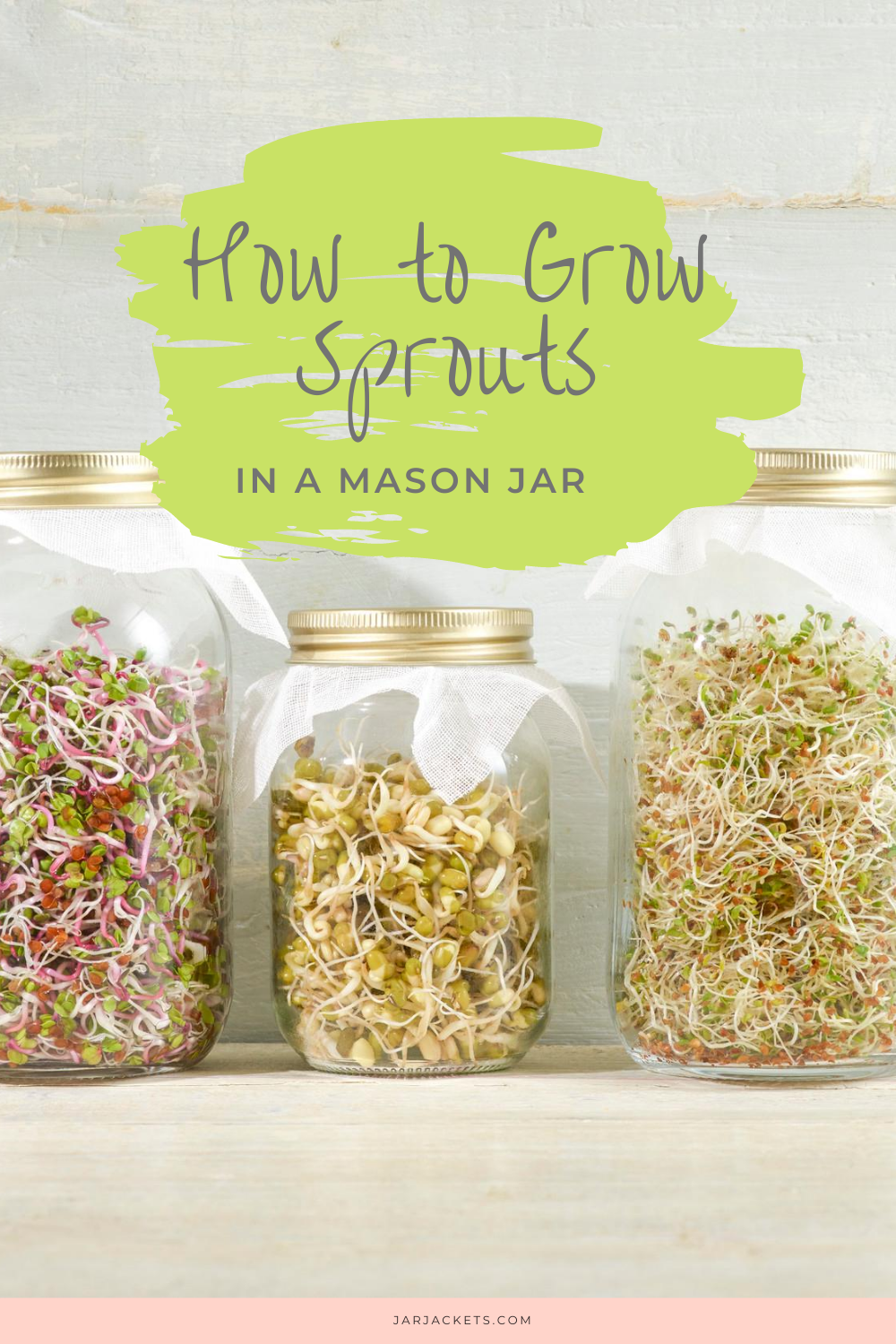 How to Grow Sprouts in a Mason Jar